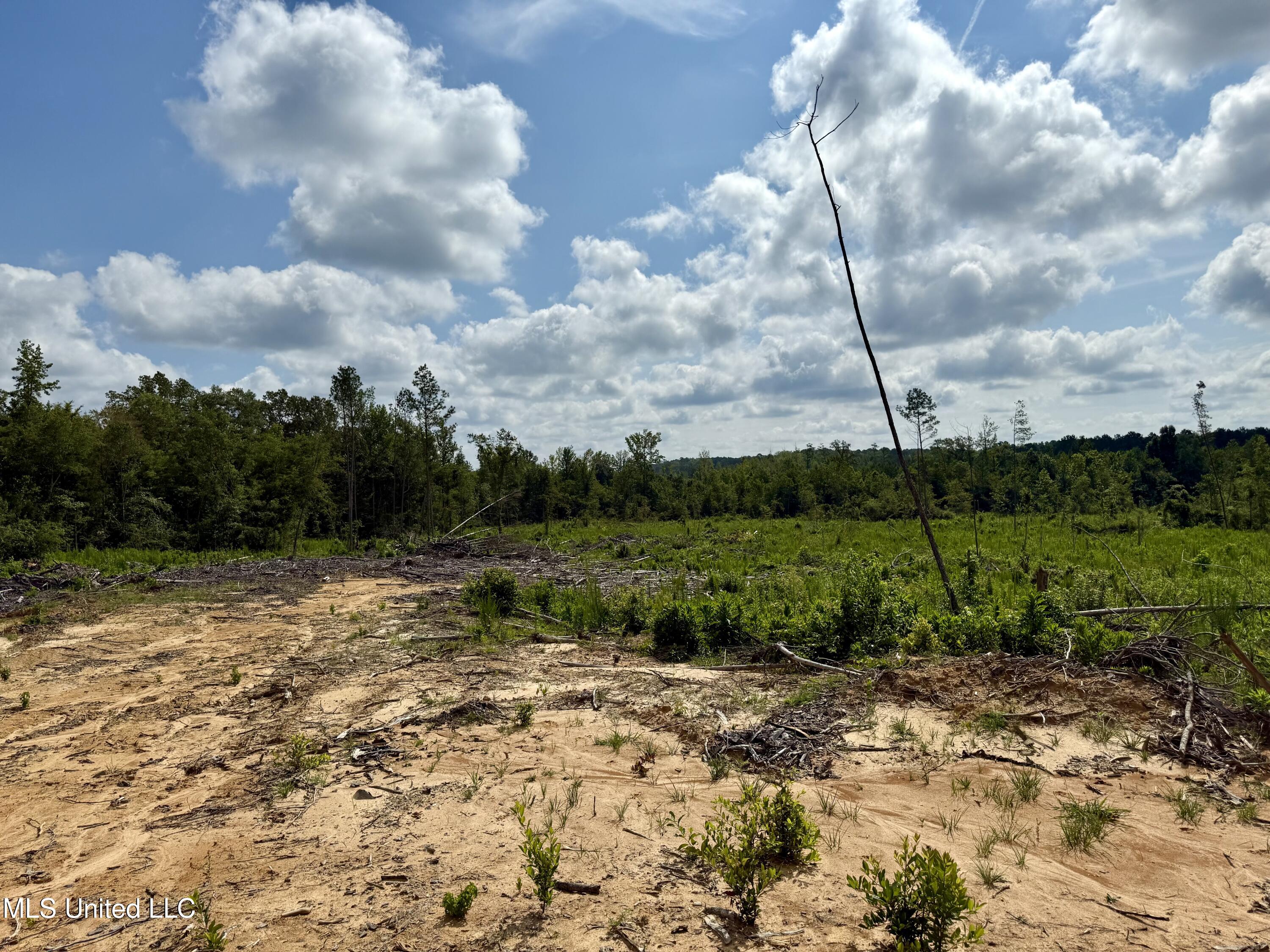 5235 Attala Road McCool, MS 39108 - Photo 2 of 13 IMG_1199