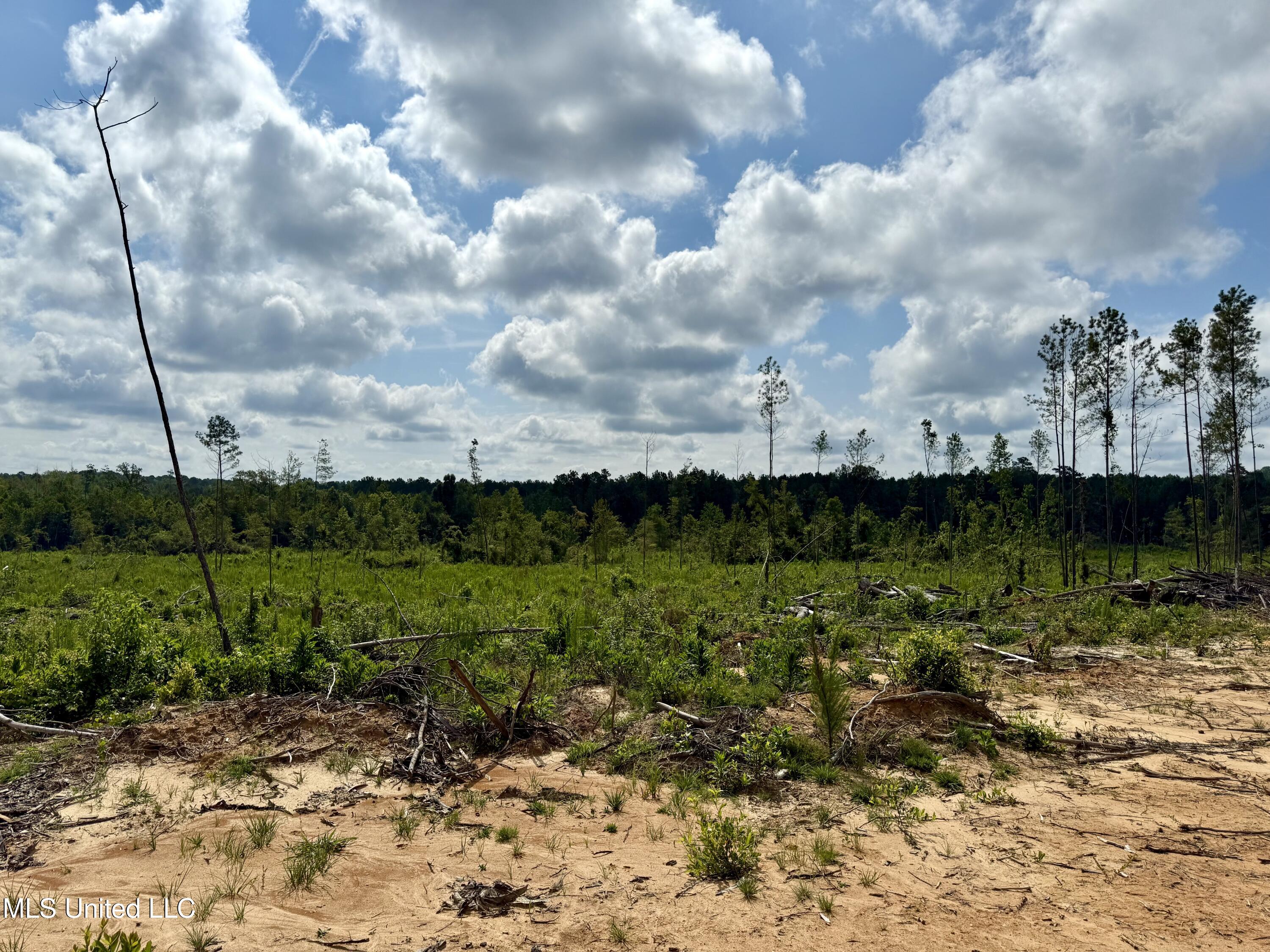 5235 Attala Road McCool, MS 39108 - Photo 3 of 13 IMG_1200