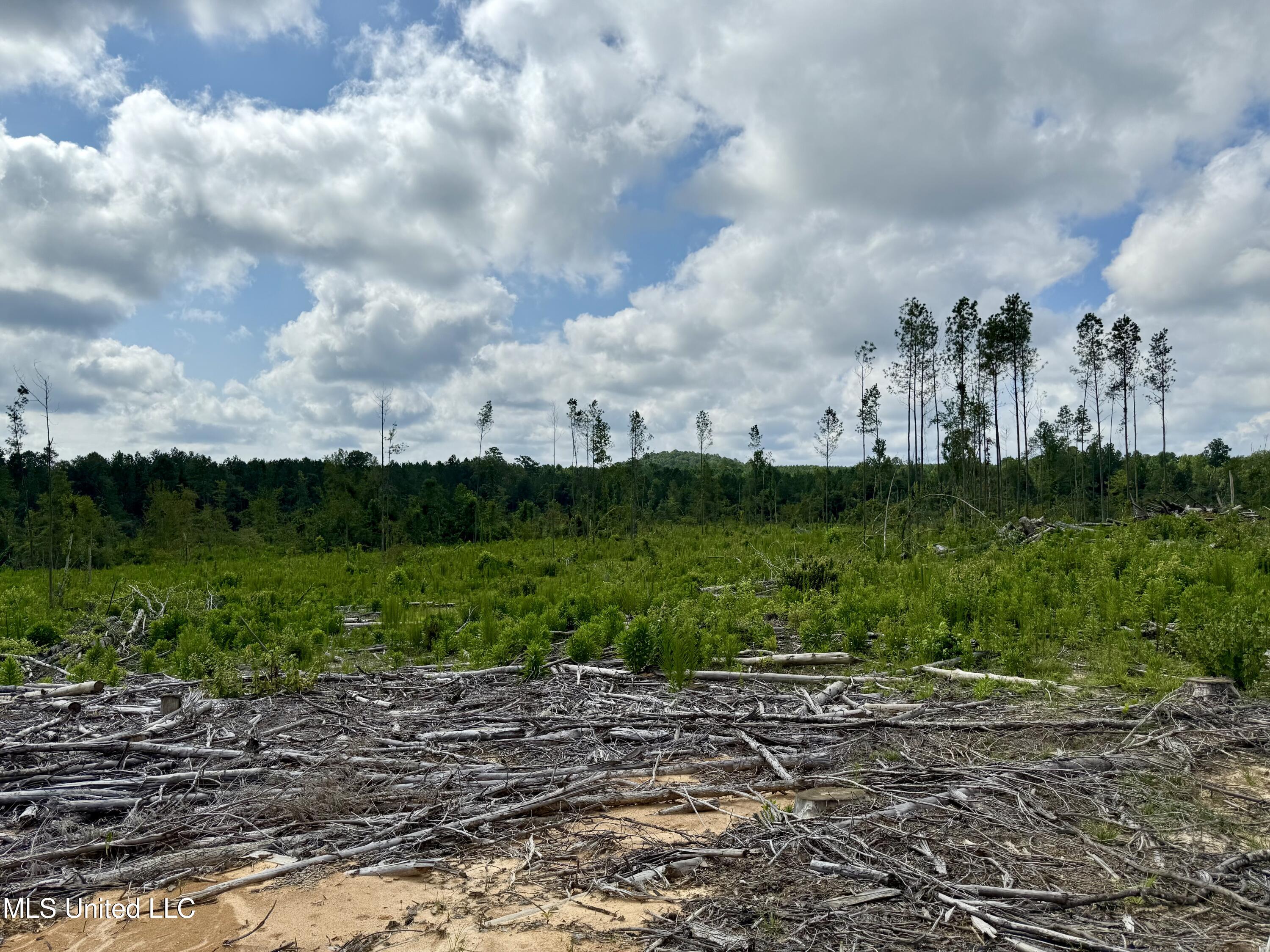 5235 Attala Road McCool, MS 39108 - Photo 5 of 13 IMG_1206