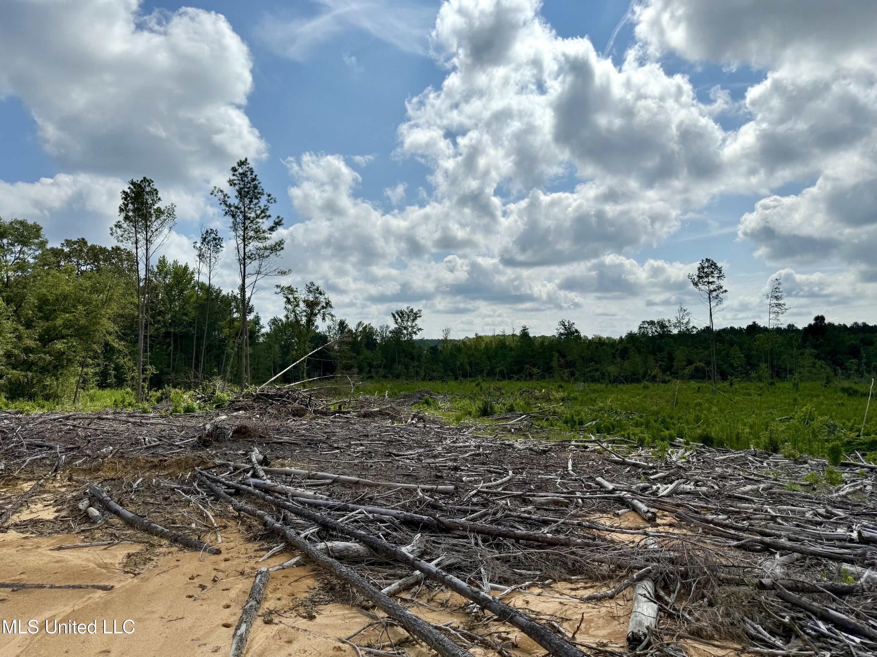 5235 Attala Road McCool, MS 39108 - Photo 6 of 13 IMG_1207