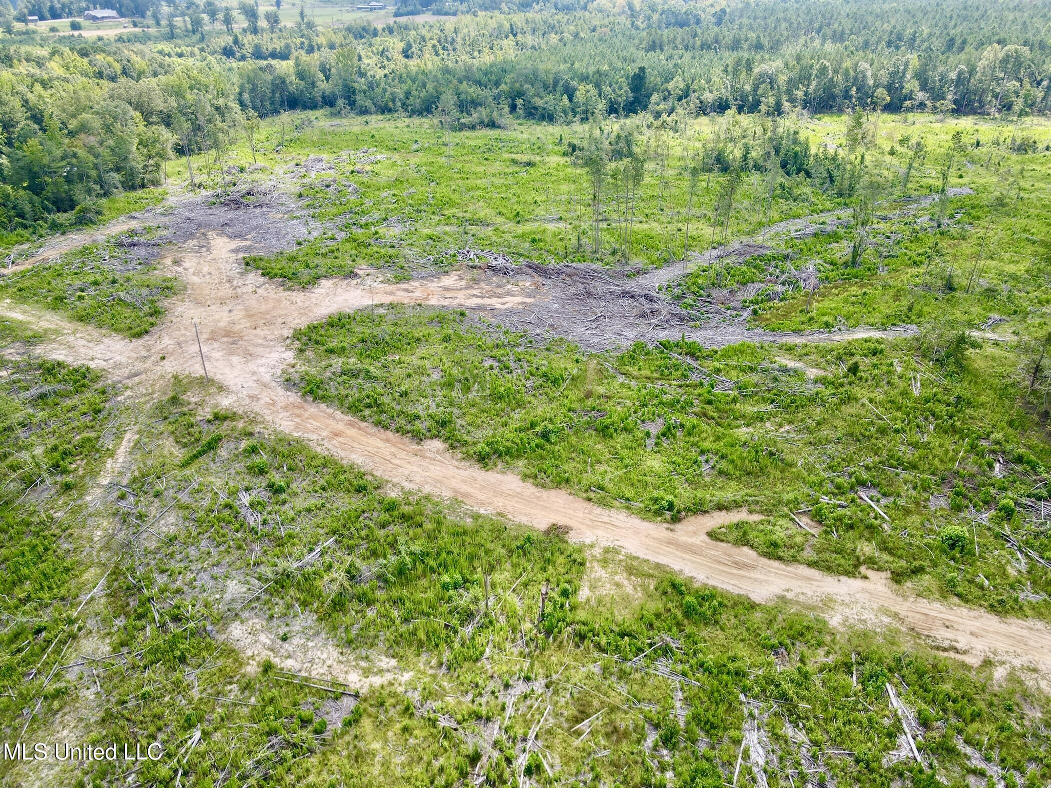 5235 Attala Road McCool, MS 39108 - Photo 8 of 13 dji_fly_20250724_102618_380_175337079367