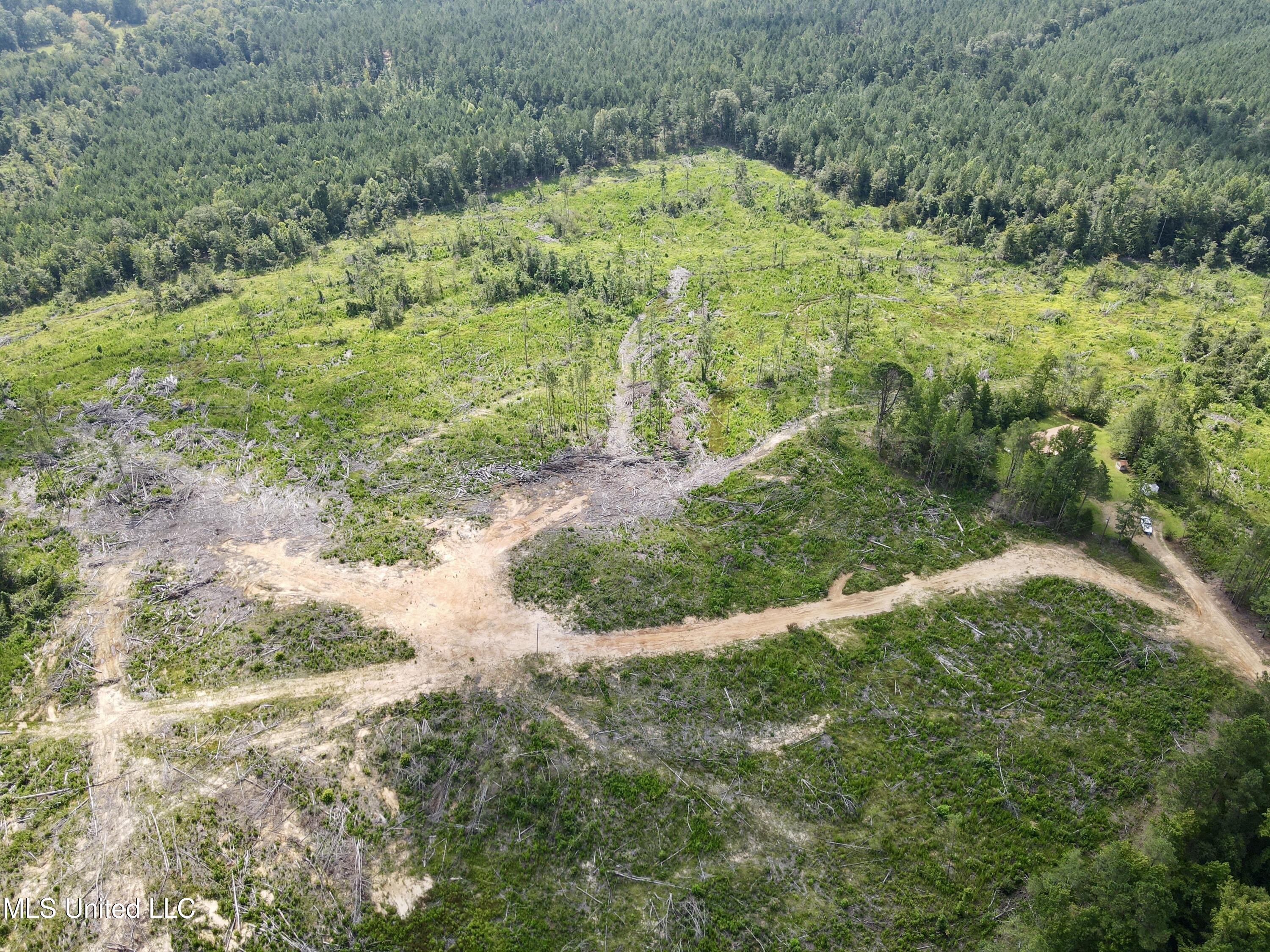 5235 Attala Road McCool, MS 39108 - Photo 9 of 13 dji_fly_20250724_102722_384_175337089265