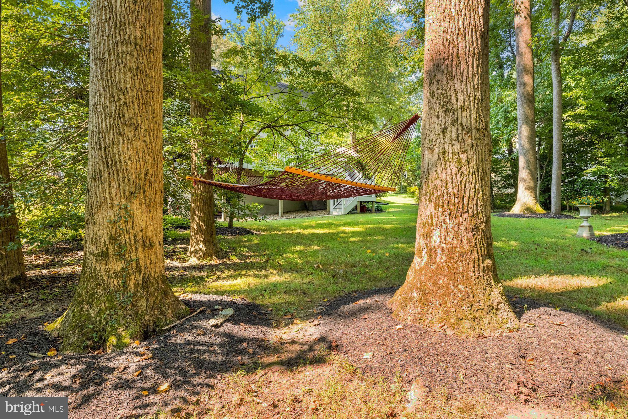 1905 Chapel Hill Road Silver Spring, MD 20906 - Photo 28 of 32 Gorgeous Rear Garden