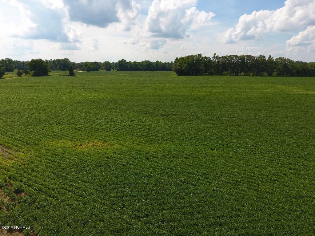 128.25 Ac Off Alton Road Lucama, NC 27851 - Photo 33 of 48 29 (1024x768)