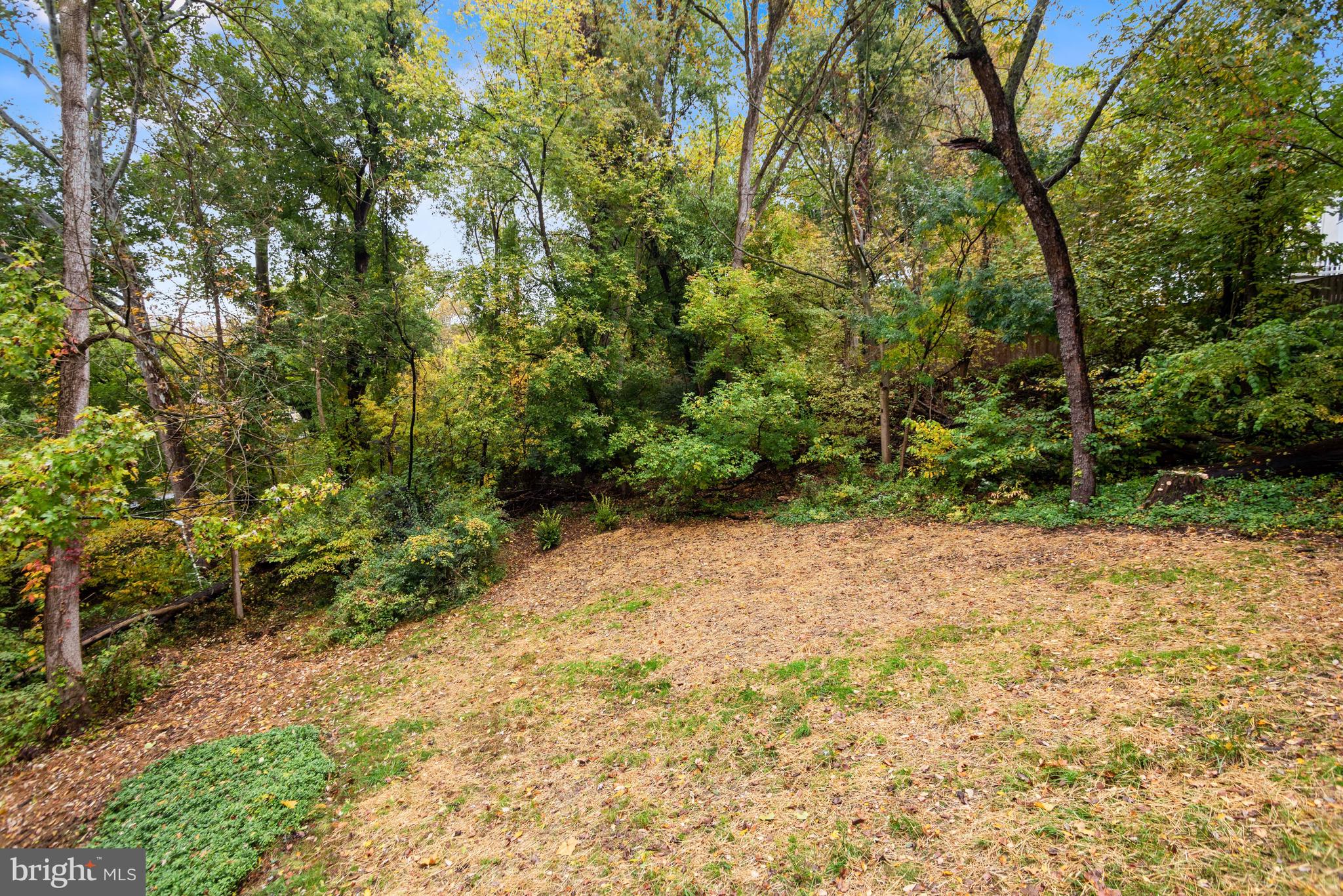 1900 Lafayette Road Gladwyne, PA 19035 - Photo 32 of 35 Backyard