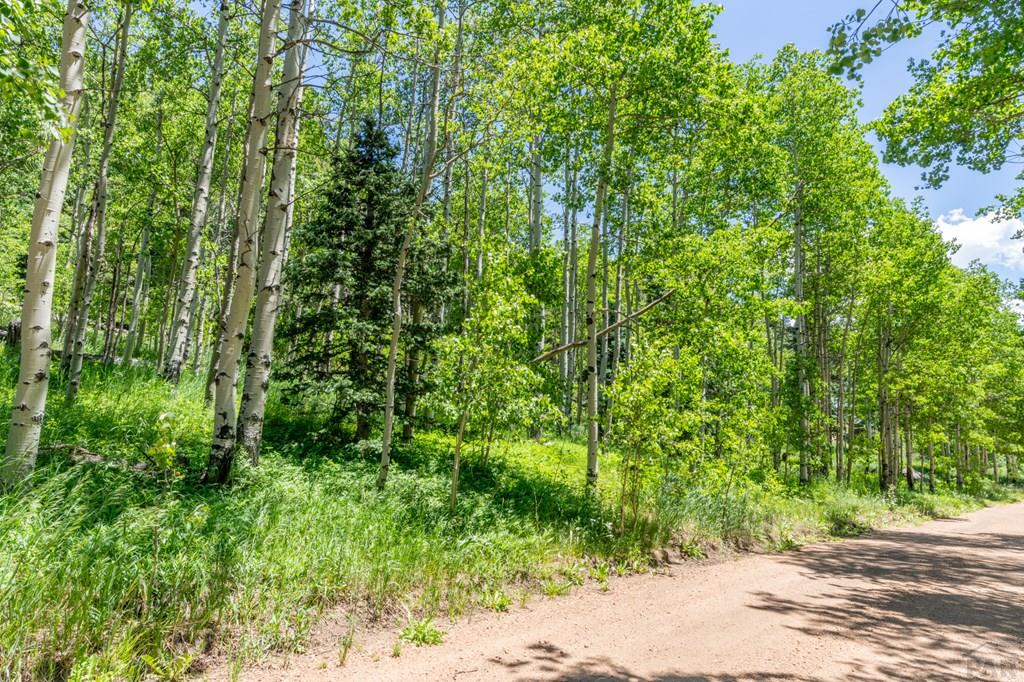 Tbd Tbd Westcliffe Drive Rye, CO 81069 - Photo 2 of 5