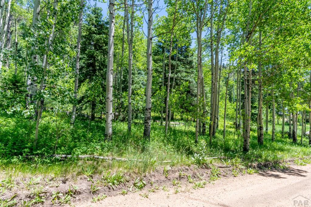 Tbd Tbd Westcliffe Drive Rye, CO 81069 - Photo 3 of 5