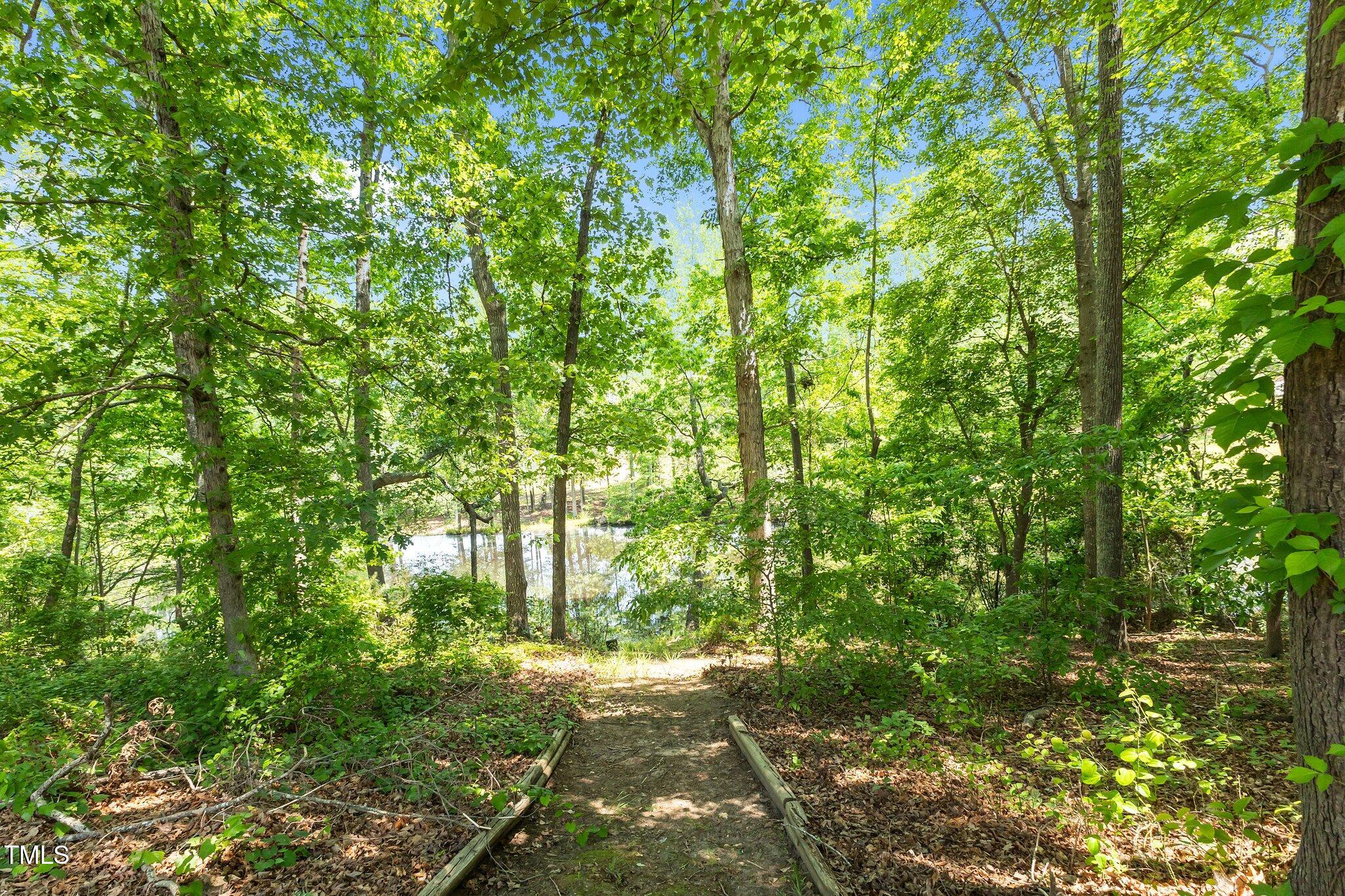170 Homestead Road Angier, NC 27501 - Photo 43 of 60 42-web-or-mls-AZ3A4245