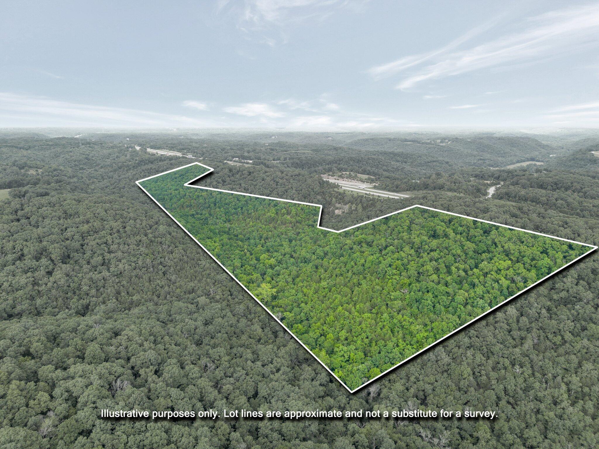 0 Burk Road Highlandville, MO 65669 - Photo 11 of 11 ulrich lots 3 outline