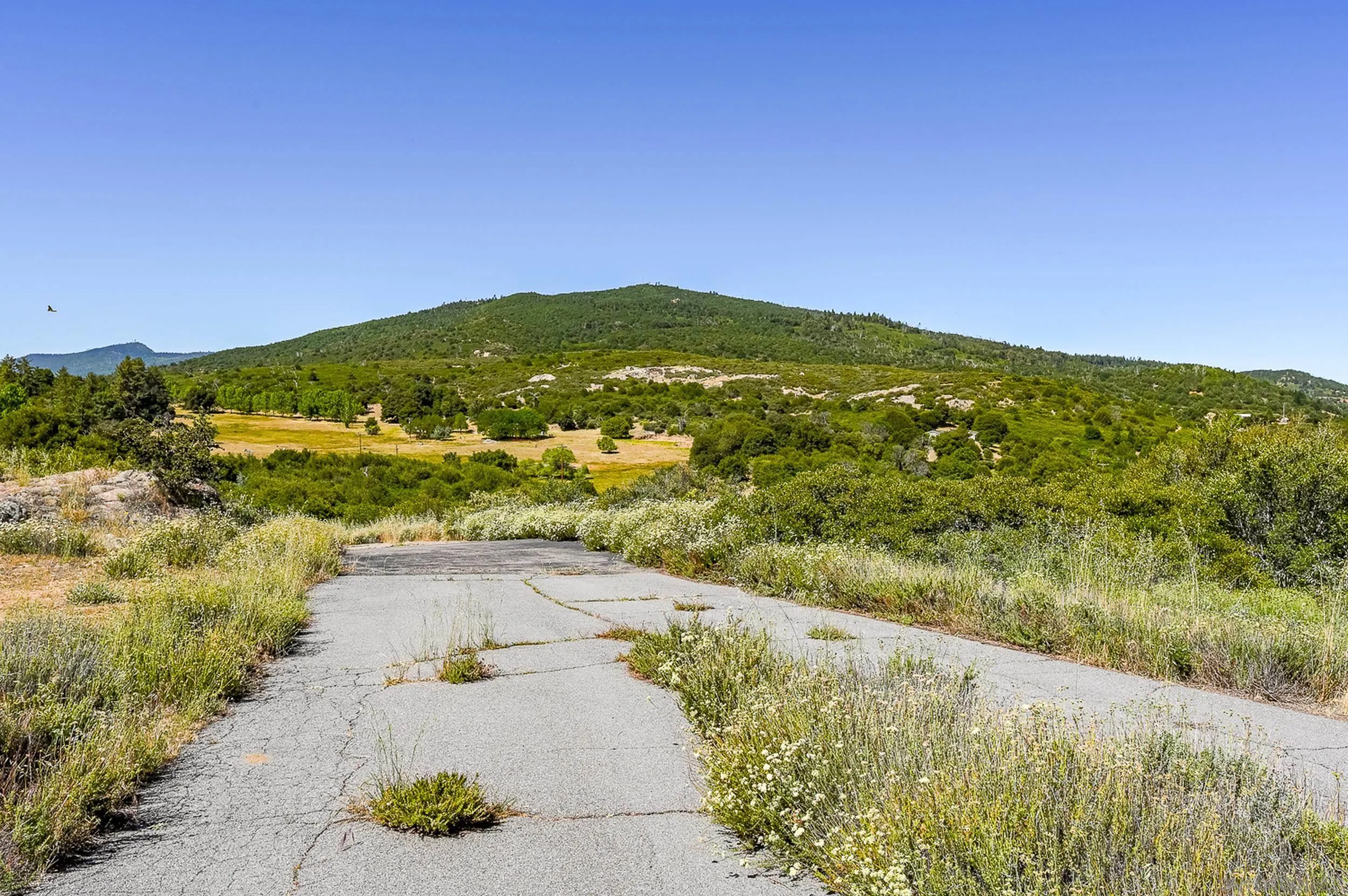 17893 Winn Ranch Road Julian, CA 92036 - Photo 9 of 17 Paved road to the property
