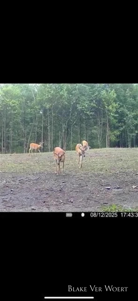 13980 12 12 Mile Road Rodney, MI 49342 - Photo 28 of 98