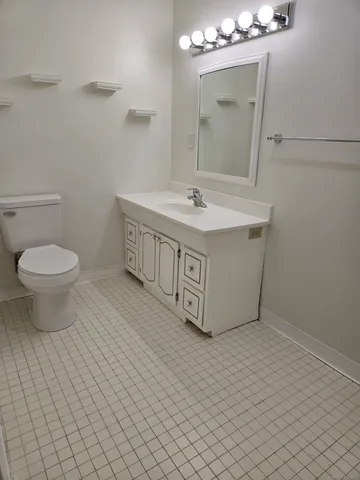 a bathroom with a sink a toilet and mirror