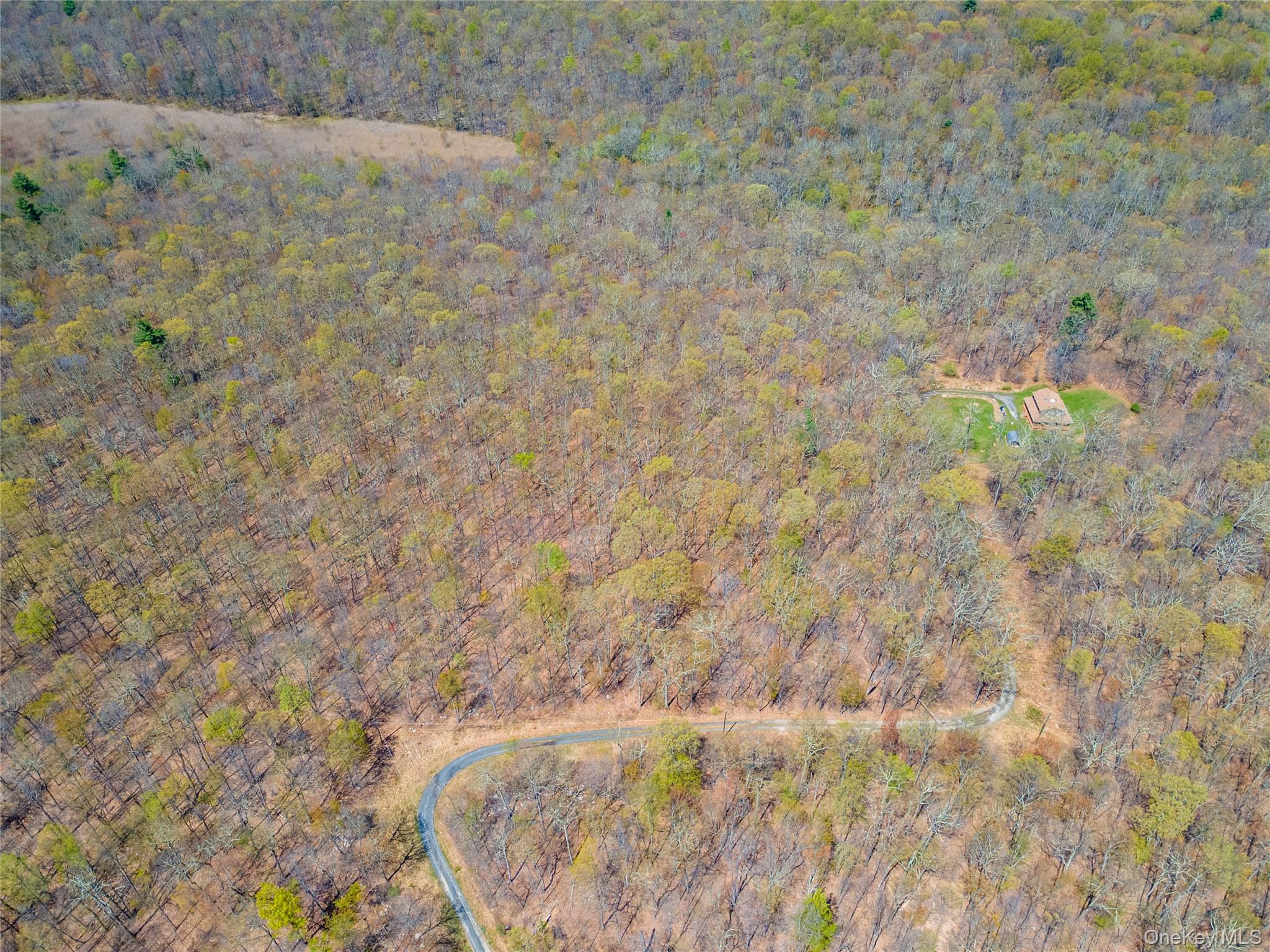 Tbd Forest Glen Road Pine Bush, NY 12566 - Photo 11 of 13 a view of a dry yard