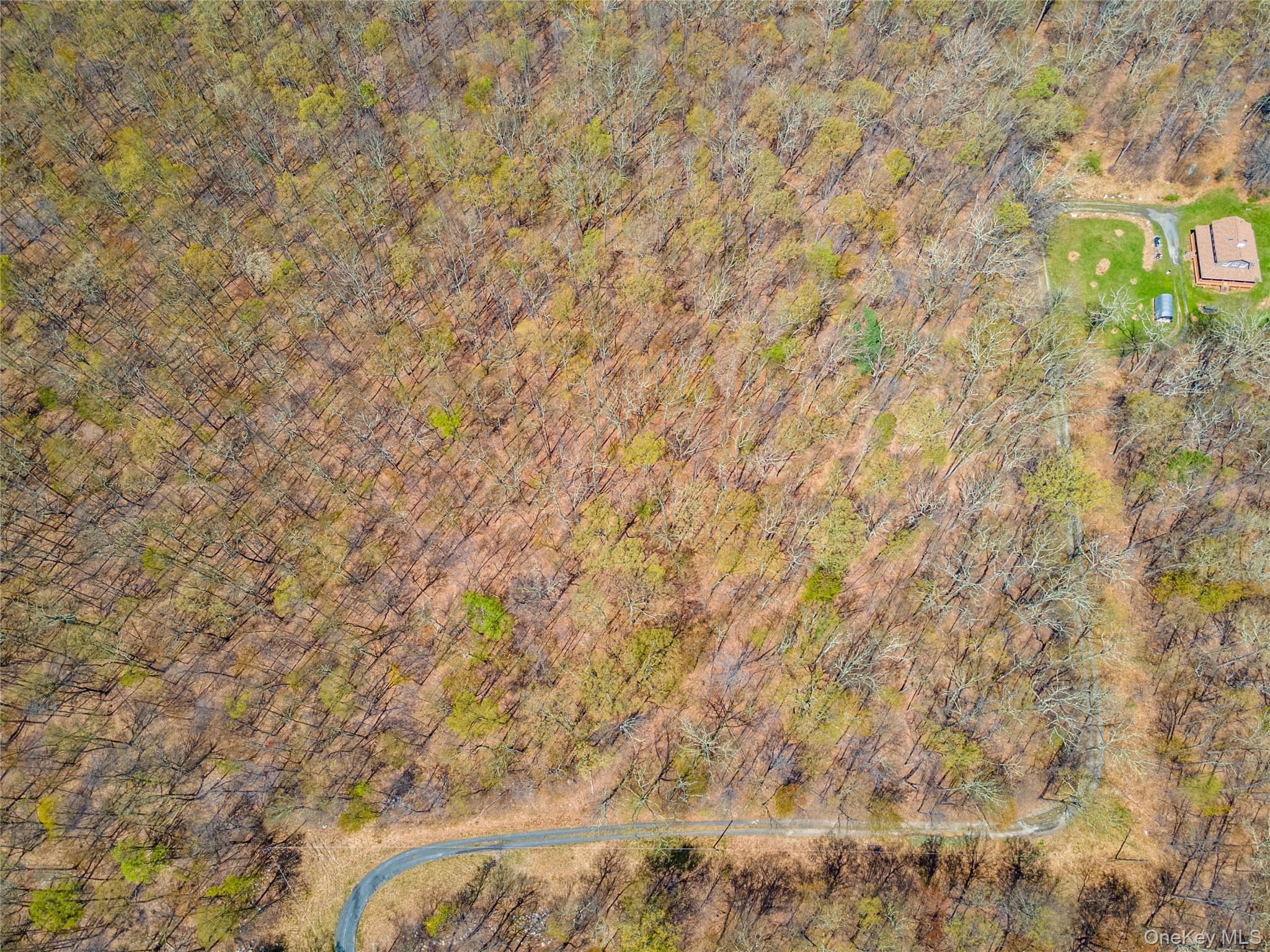 Tbd Forest Glen Road Pine Bush, NY 12566 - Photo 12 of 13