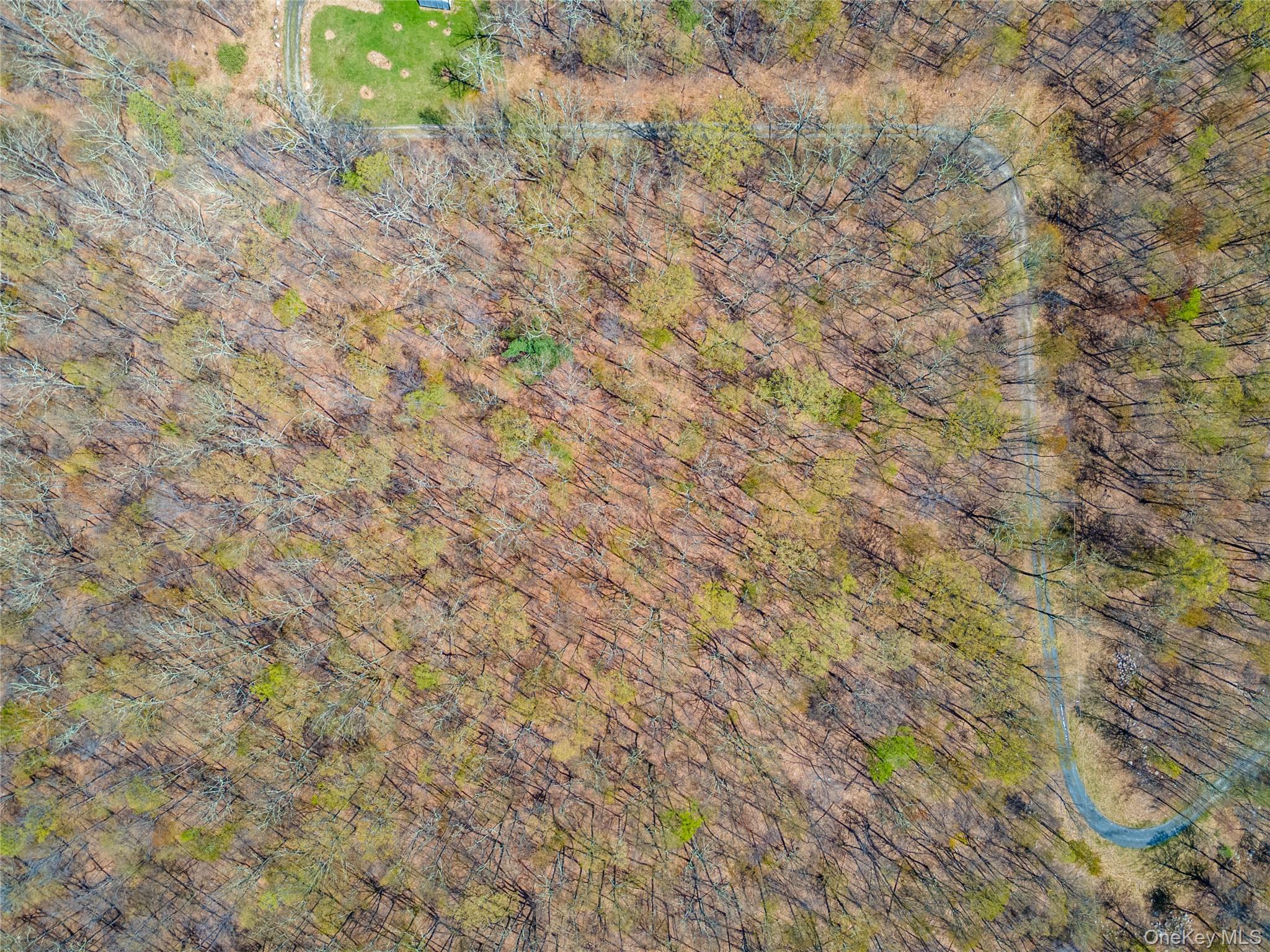 Tbd Forest Glen Road Pine Bush, NY 12566 - Photo 13 of 13