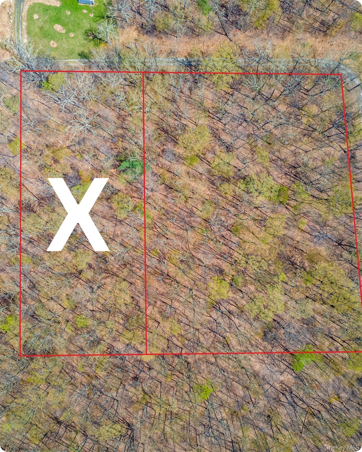 Tbd Forest Glen Road Pine Bush, NY 12566 - Photo 3 of 13 a view of a yard