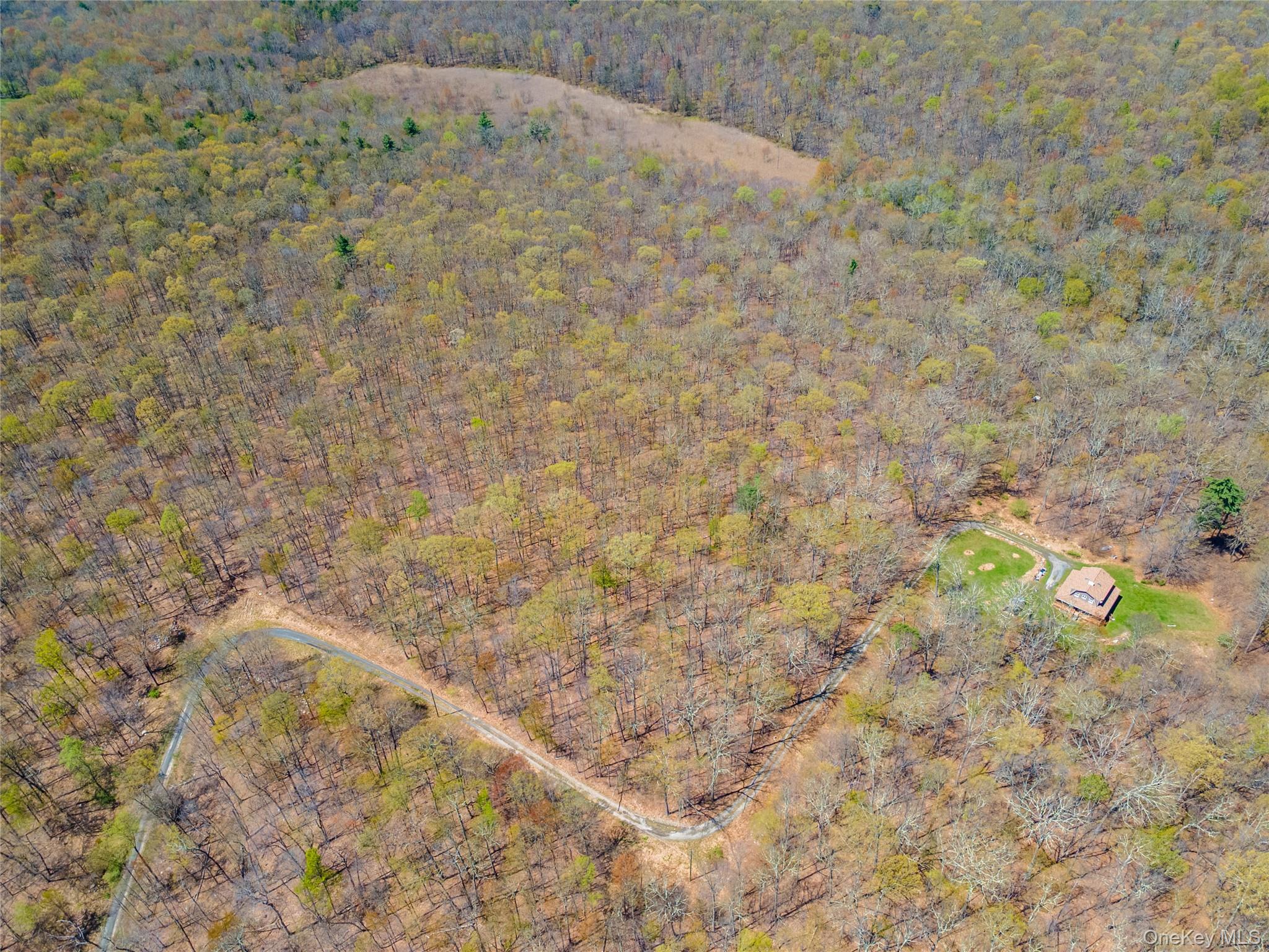 Tbd Forest Glen Road Pine Bush, NY 12566 - Photo 4 of 13 a view of a dry yard