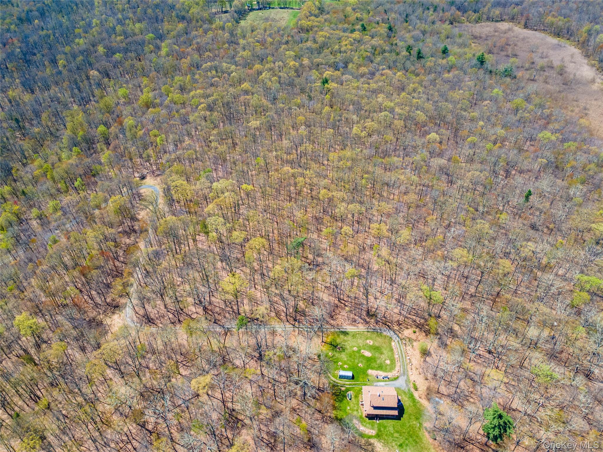 Tbd Forest Glen Road Pine Bush, NY 12566 - Photo 5 of 13