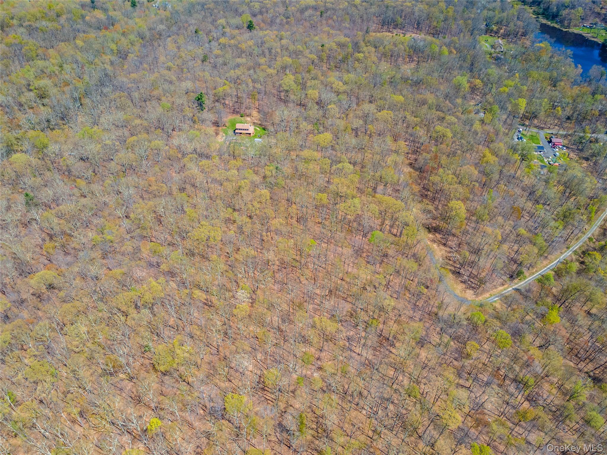 Tbd Forest Glen Road Pine Bush, NY 12566 - Photo 7 of 13