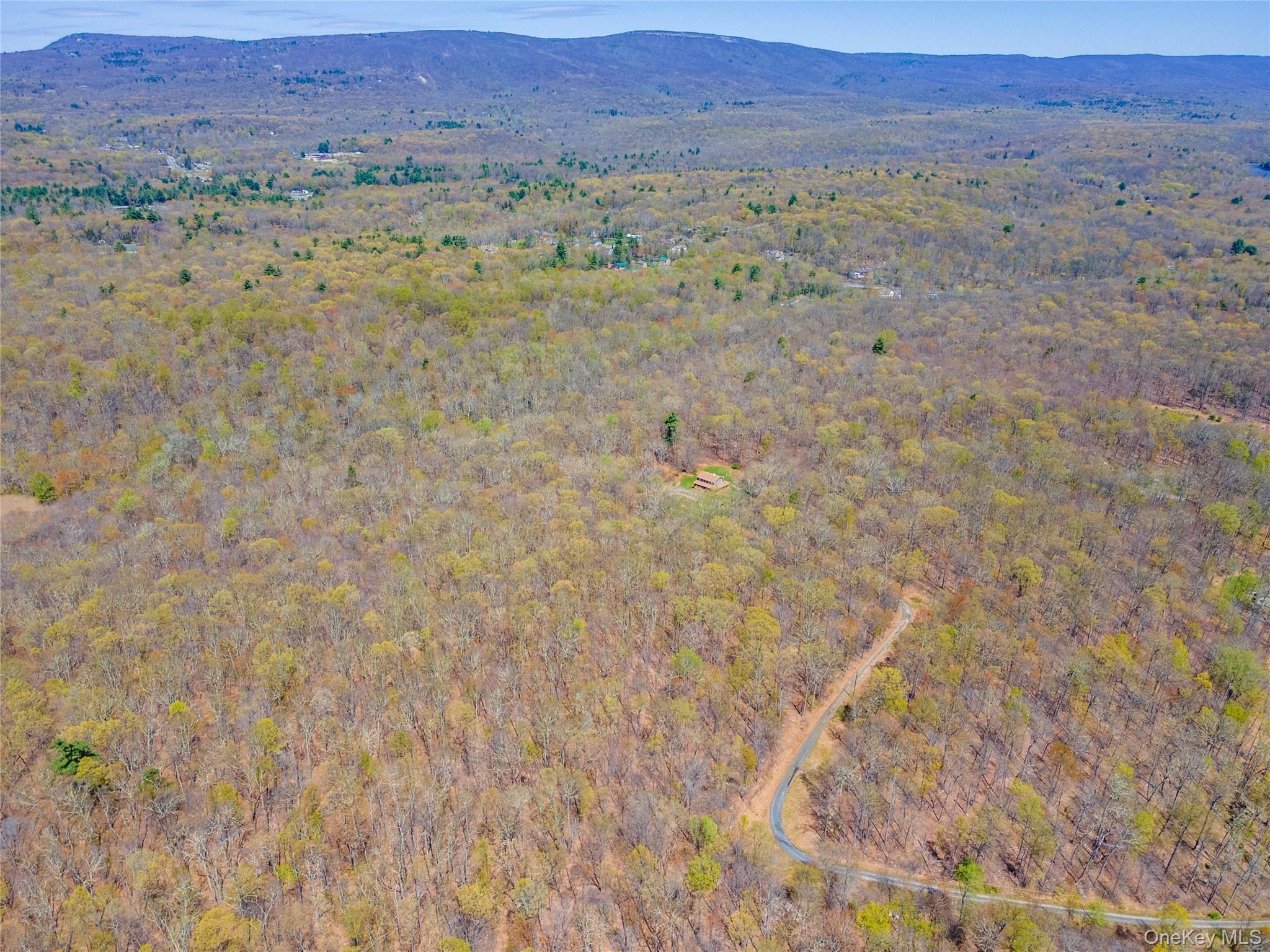 Tbd Forest Glen Road Pine Bush, NY 12566 - Photo 8 of 13 a view of the field