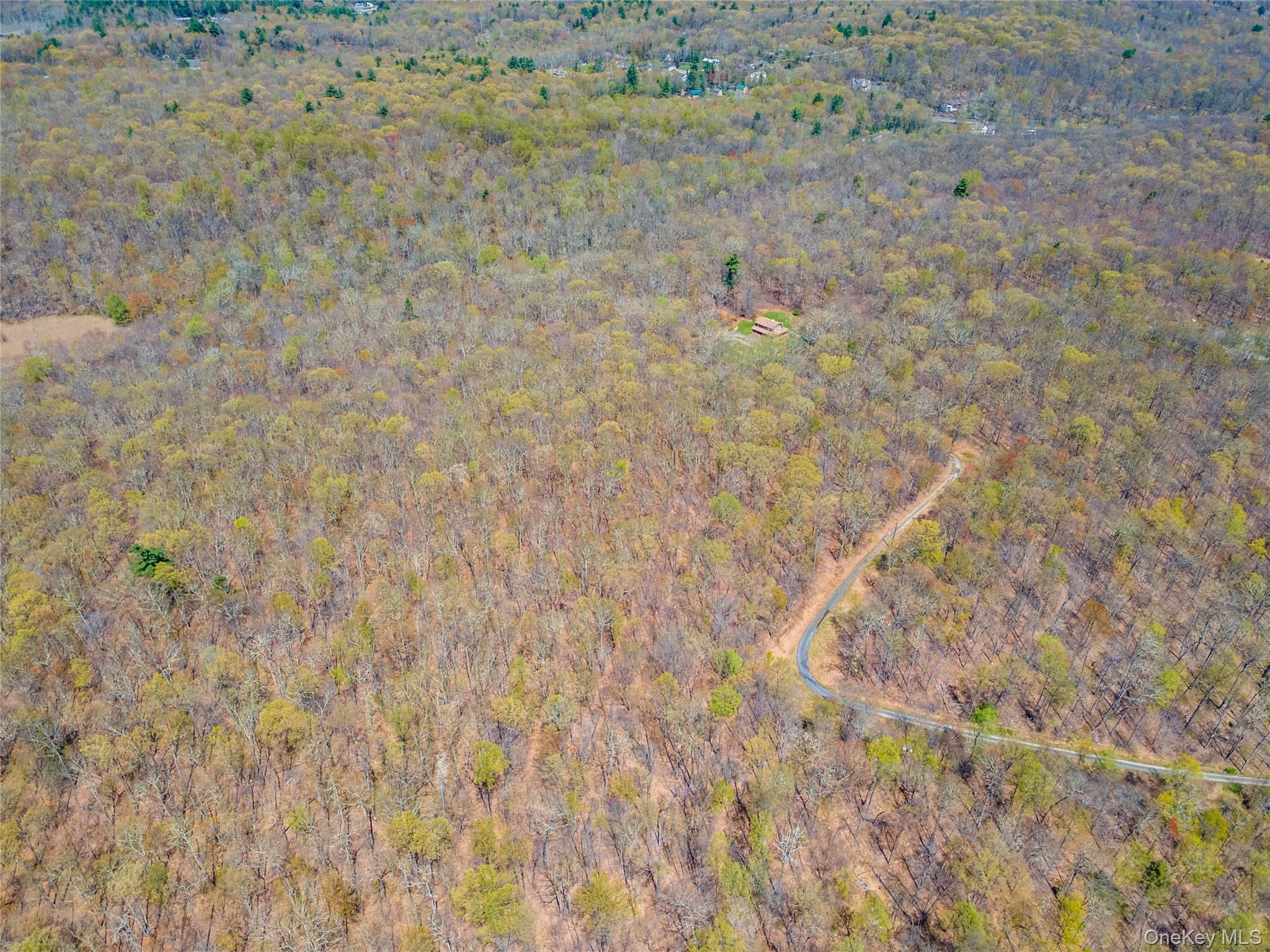 Tbd Forest Glen Road Pine Bush, NY 12566 - Photo 9 of 13 a close view of cupboard