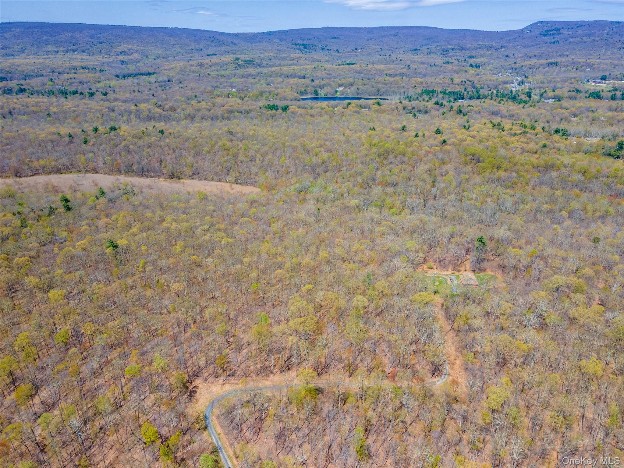 Tbd Forest Glen Road Pine Bush, NY 12566 - Photo 10 of 13 a view of a dry yard with trees