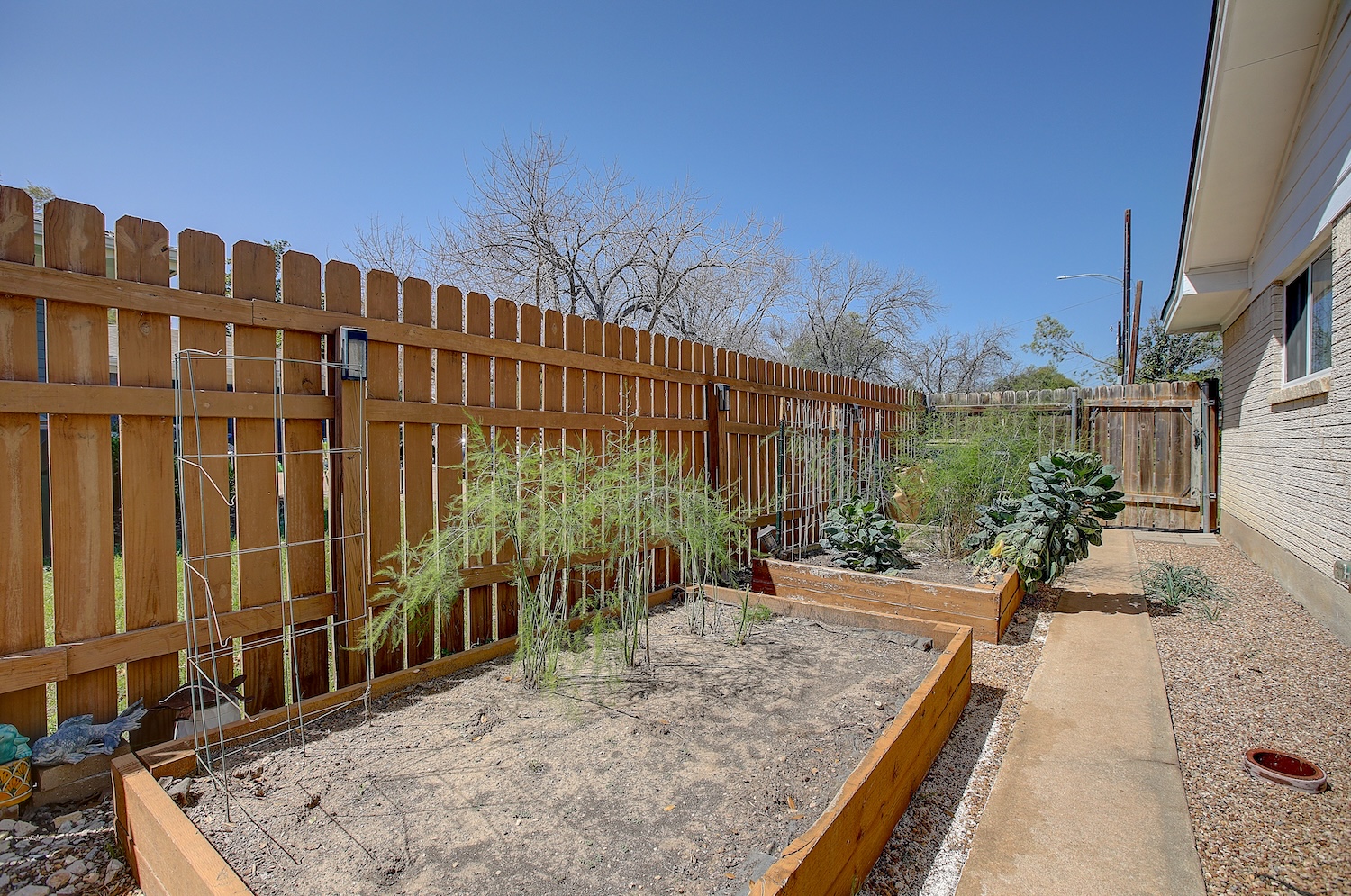 1902 East 18th Street Georgetown, TX 78626 - Photo 10 of 40 Fenced off area of backyard features raised bed gardens, recent wood privacy fence, HUGE