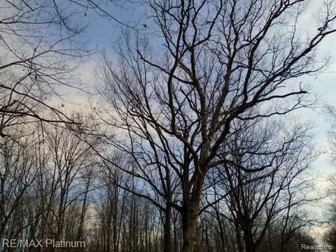 V/l V/l Mcclements Road Brighton, MI 48114 - Photo 6 of 9 Gallery Image 6