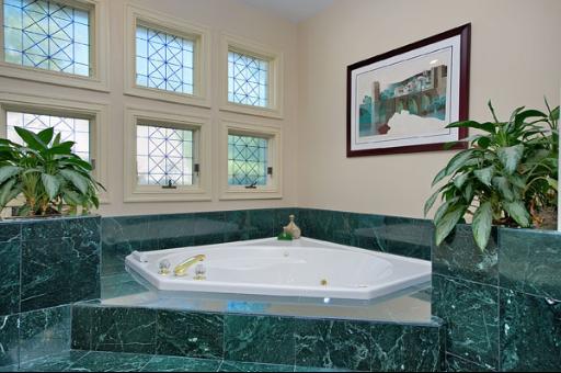5662 South County Line Road Hinsdale, IL 60521 - Photo 8 of 16 a white bath tub sitting in a bathroom next to a window