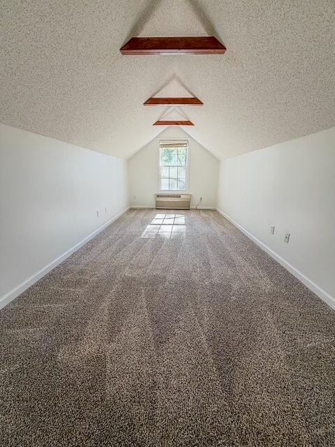 100 Pinnacle Court Sumter, SC 29154 - Photo 23 of 43 Bonus Room- Fourth Bedroom
