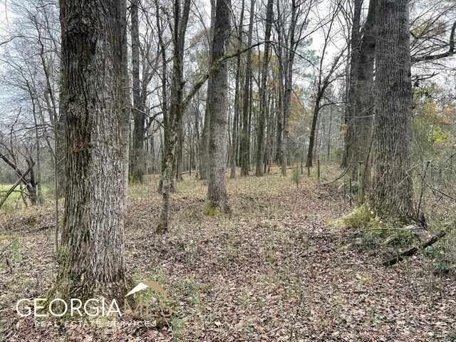 960 Walnut Road Hoschton, GA 30548 - Photo 5 of 5
