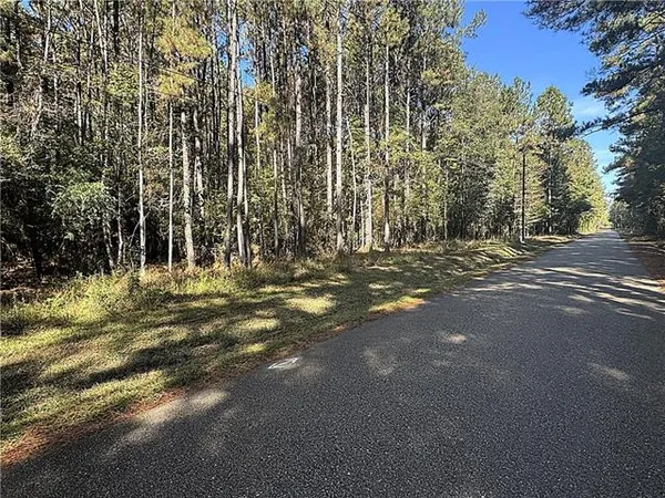 $140,000 | 12-acres Bruhl Road, Folsom, LA 70437