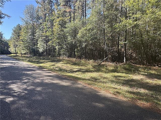 12-acres Bruhl Road Folsom, LA 70437 - Photo 2 of 3