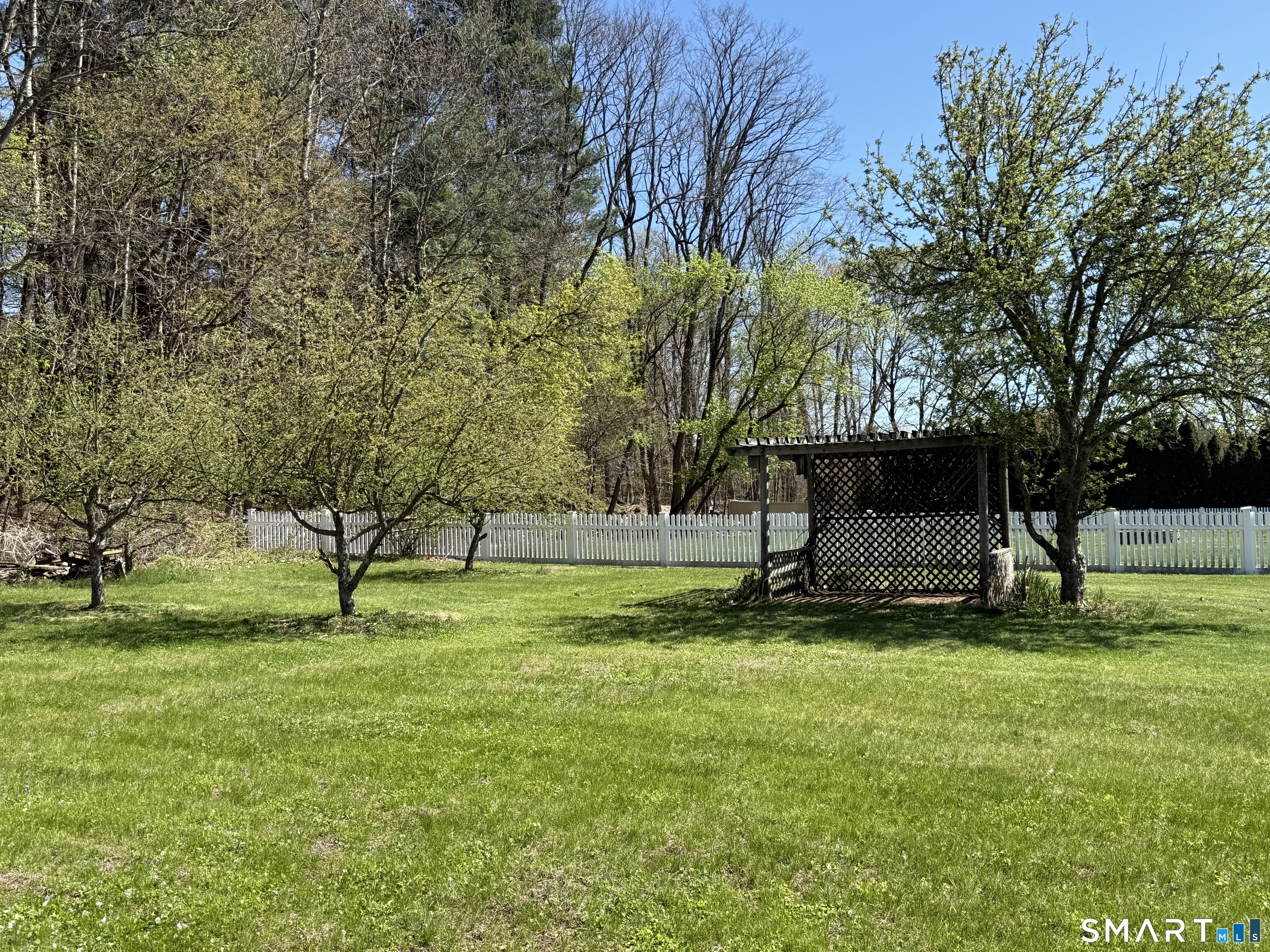 61 Crane Road Ellington, CT 06029 - Photo 22 of 26 Your own fruit trees in the backyard