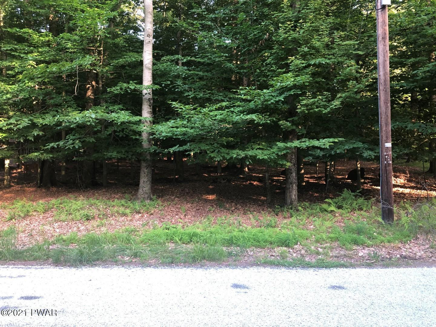 26 Deer Valley Road Lake Ariel, PA 18436 - Photo 4 of 11