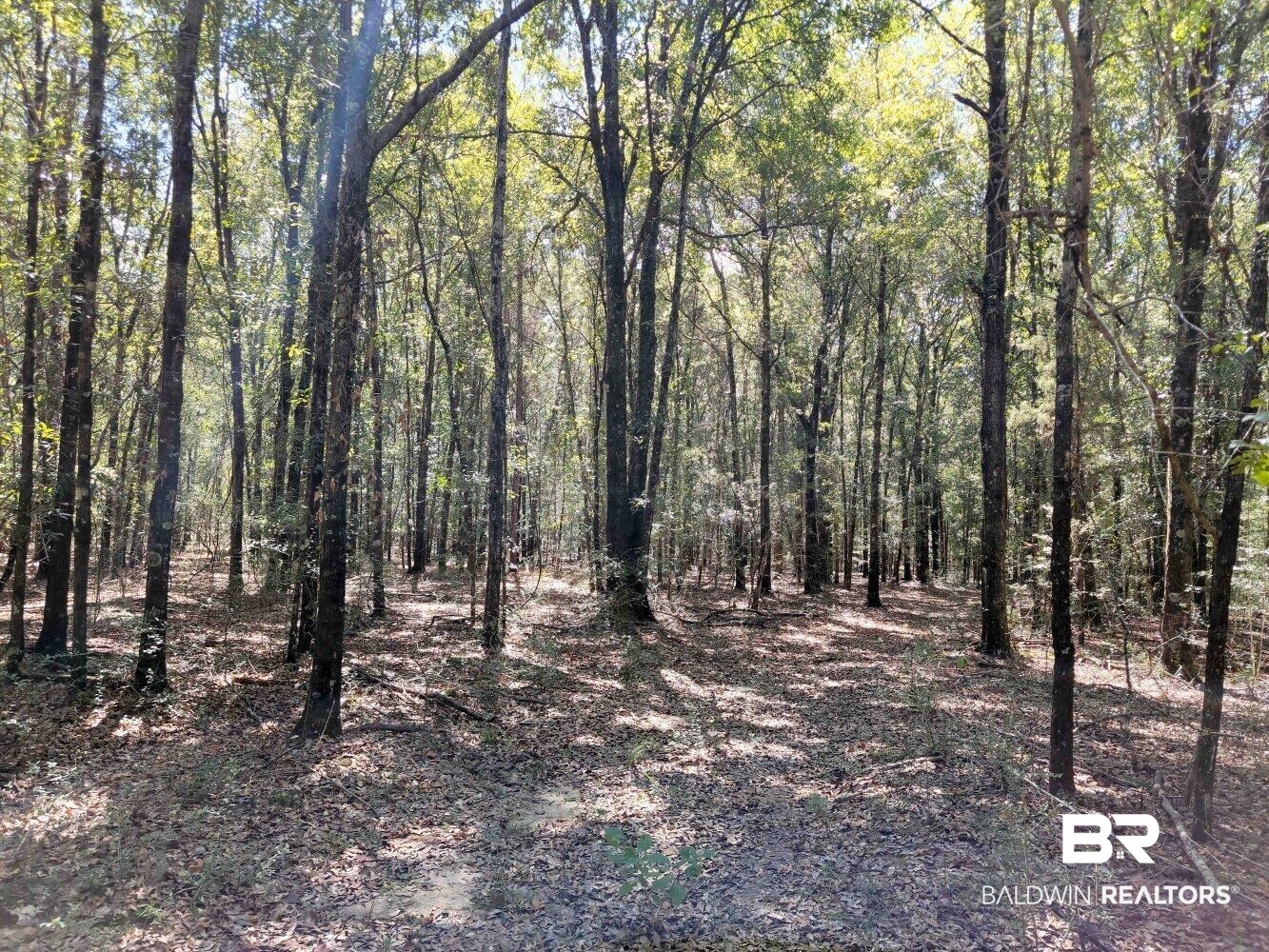 0 Howell Drive Mount Vernon, AL 36560 - Photo 8 of 50