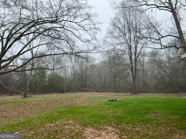 a view of backyard with green space