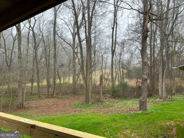a view of a yard with large trees