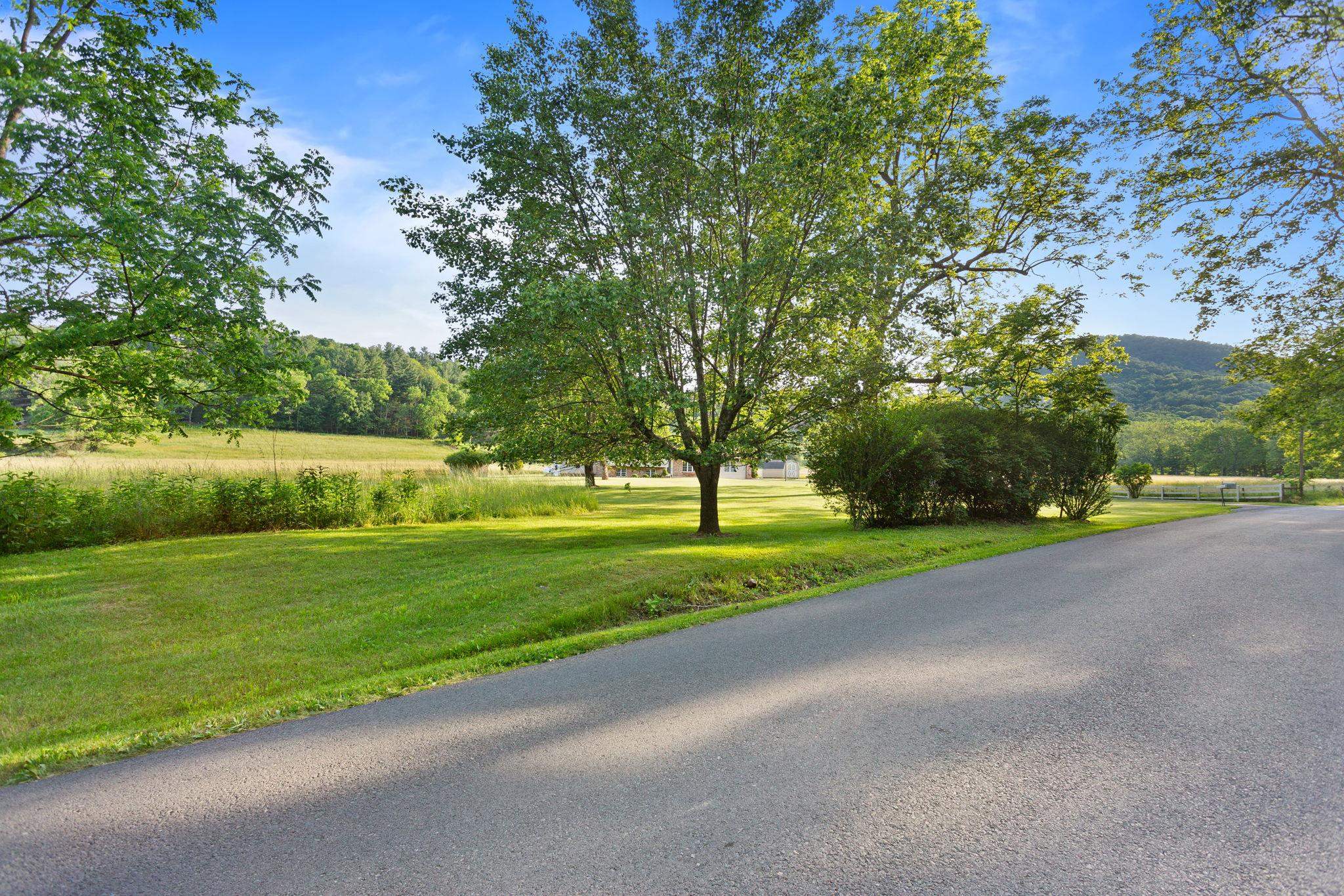1659 Crab Run Road Mathias, WV 26812 - Photo 27 of 28 Picture yourself driving home on this driveway!!