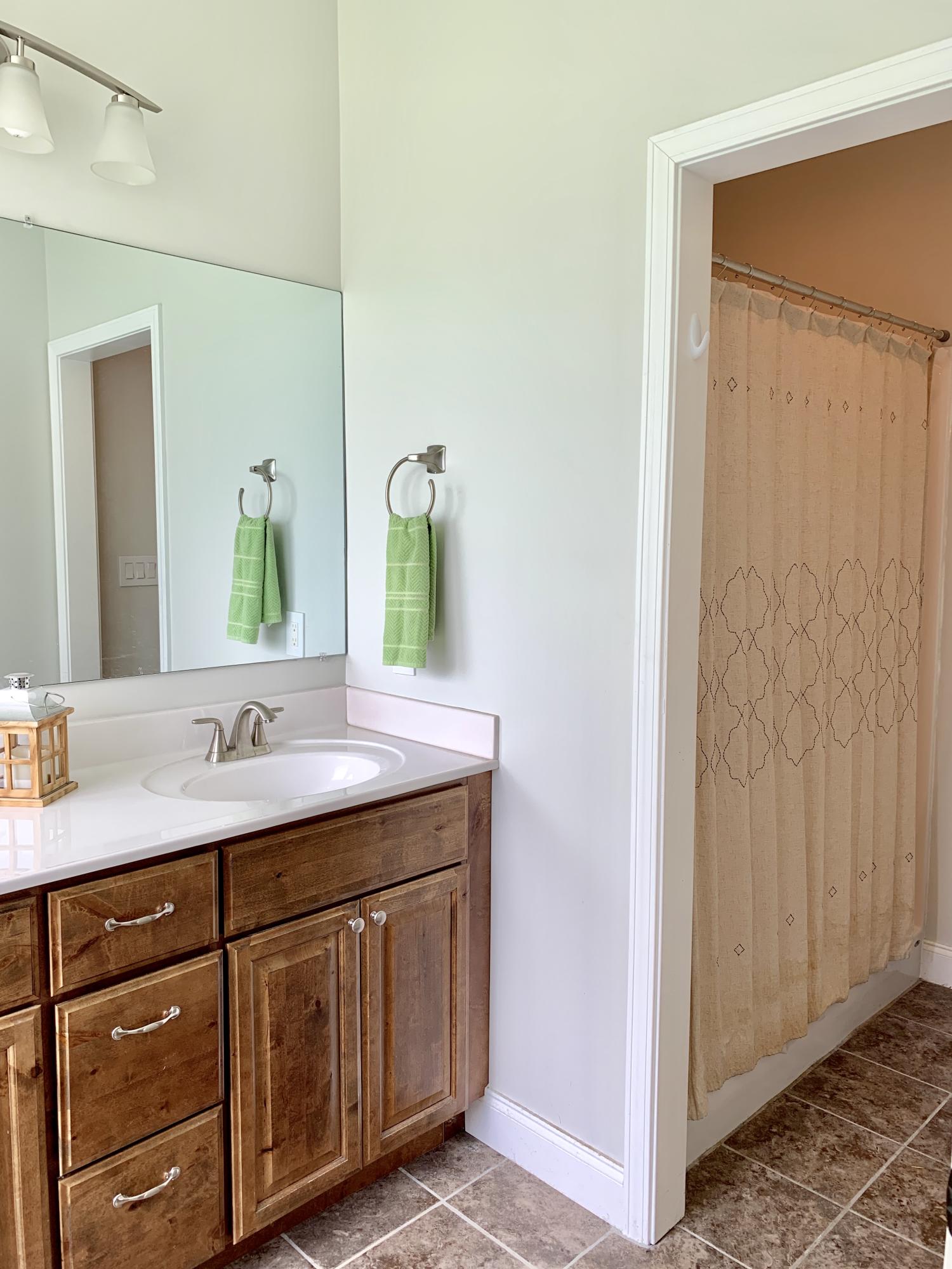 5904 Whisper Ridge Lane Corryton, TN 37721 - Photo 20 of 35 Master Bathroom w/Shower