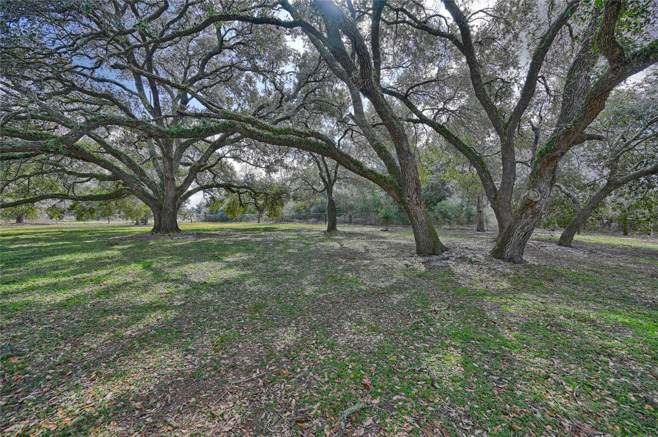 12218 Frantz Road Cat Spring, TX 78933 - Photo 15 of 25 a view of outdoor space with trees all around