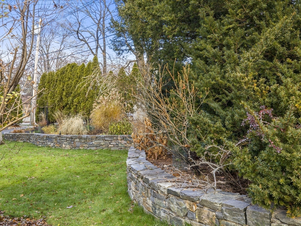 110 Pickwick Road Newton, MA 02465 - Photo 23 of 27 a view of yard with tree