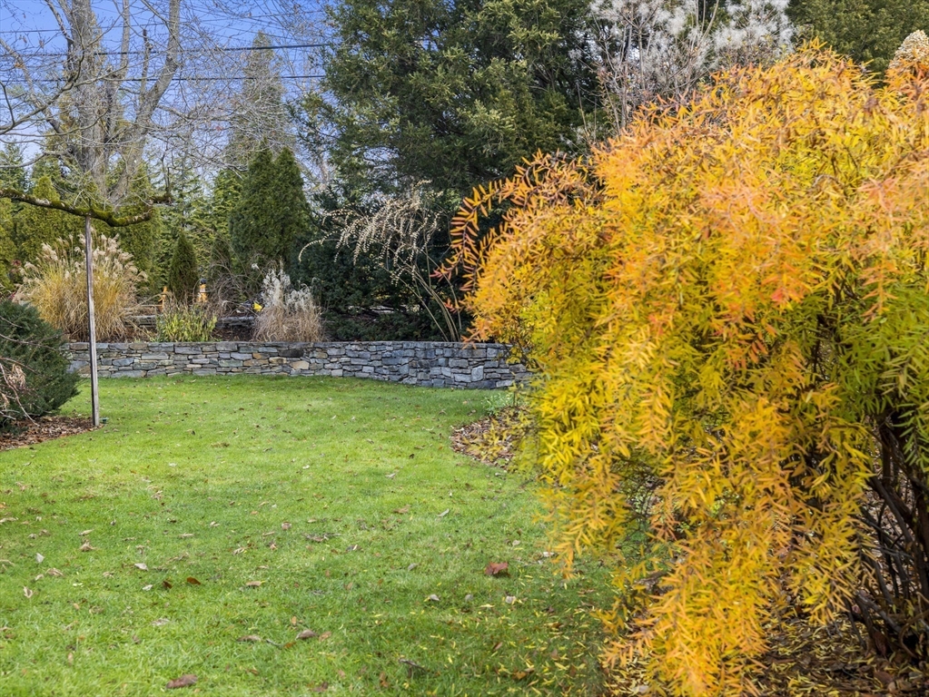 110 Pickwick Road Newton, MA 02465 - Photo 24 of 27 a view of a yard with large trees