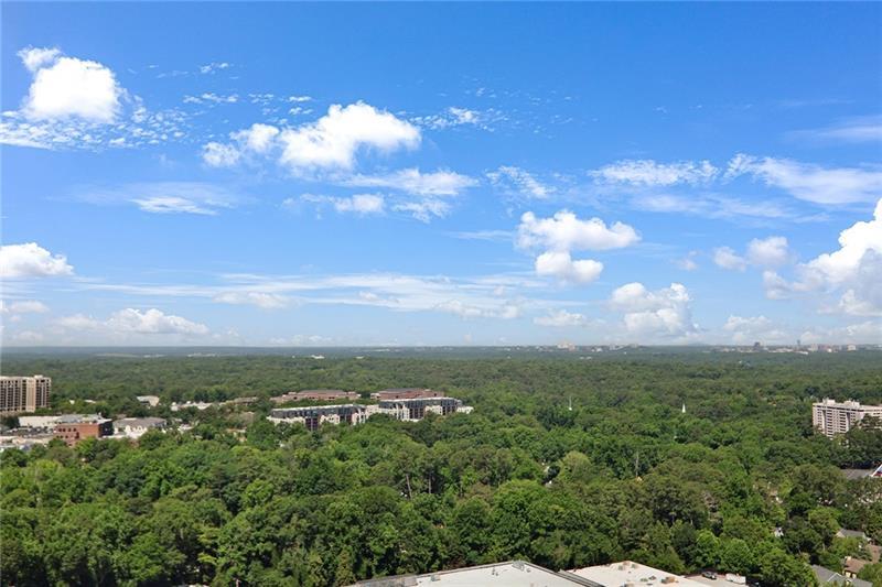 3325 Piedmont Road Northeast, Unit 2404 Atlanta, GA 30305 - Photo 24 of 36 a view of a city