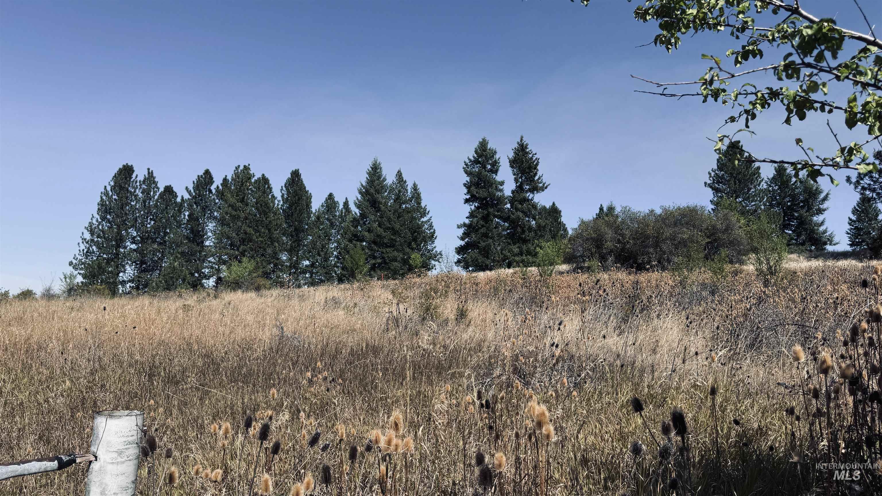 Tbd Dalton Acres Road Stites, ID 83552 - Photo 24 of 50 Gallery Image 24
