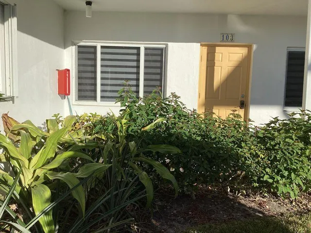 a plant that is in front of a house