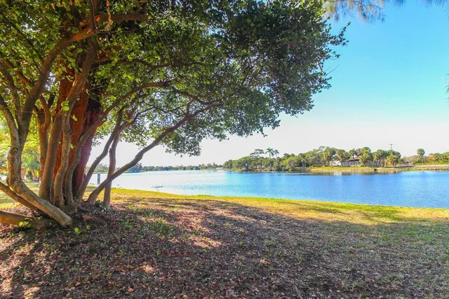 a view of an ocean with trees in the background
