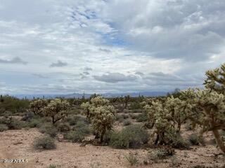 0 East Briggs Road, Unit A Florence, AZ 85132 - Photo 5 of 6 View 3