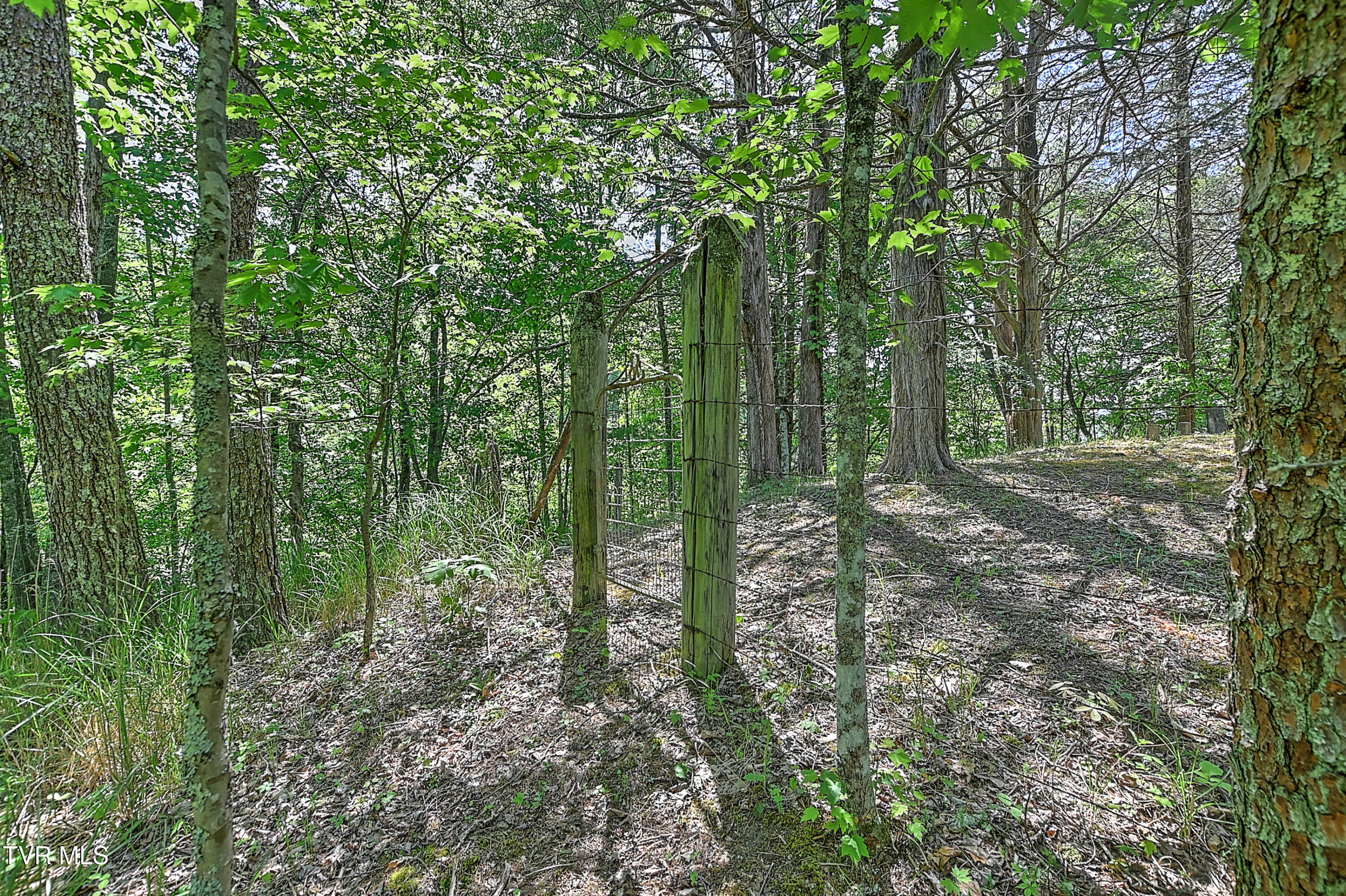 3388 Flower Gap Road Blackwater, VA 24221 - Photo 142 of 161 3388 Flower Gap Rd DS-143