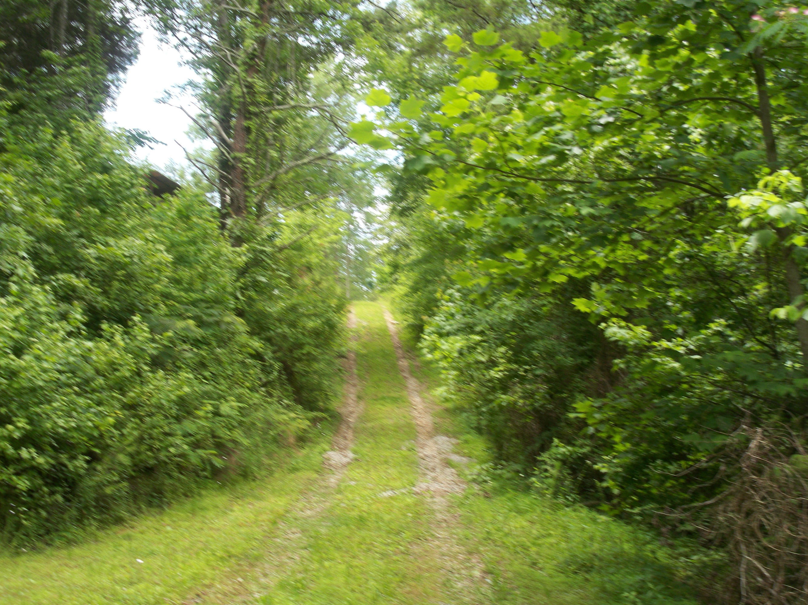 859 Snapdragon Road Sevierville, TN 37876 - Photo 34 of 35 100_0112